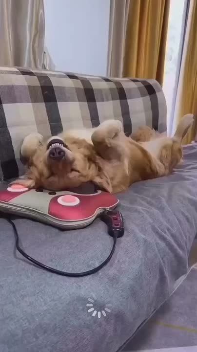   ,  !