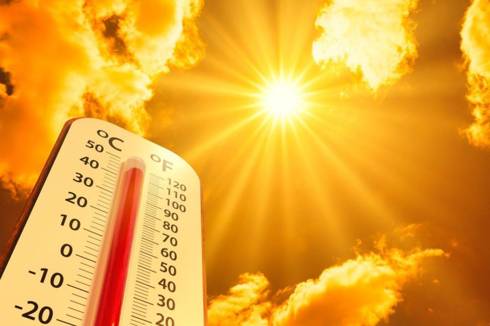 :       +40C
