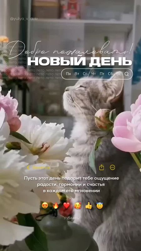   ,  !