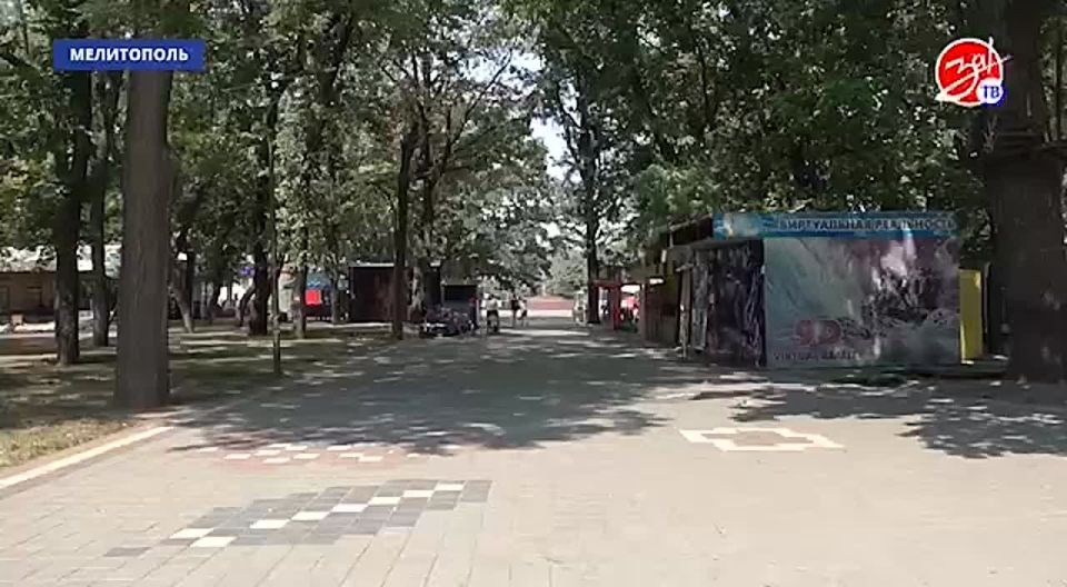   :   