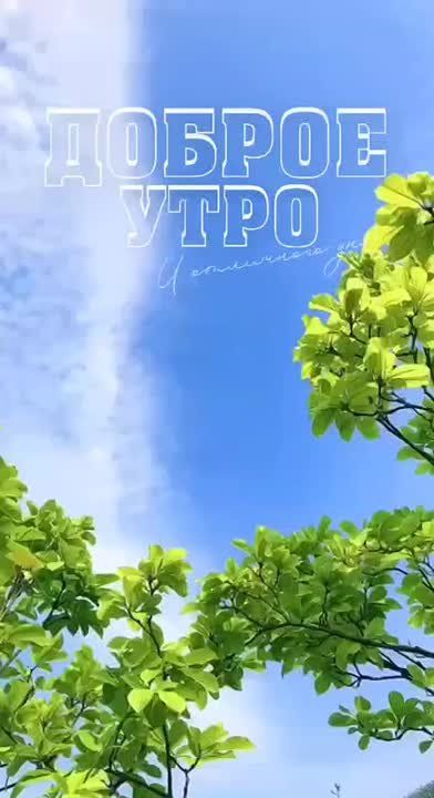   ,  !