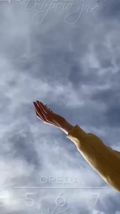   ,  !
