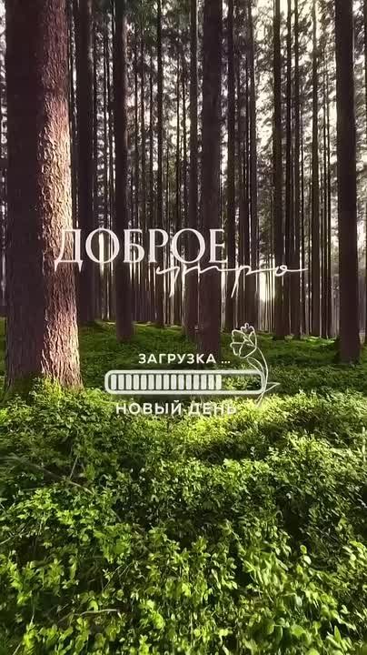   ,  !