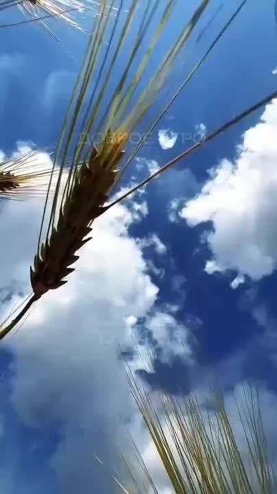   ,  !