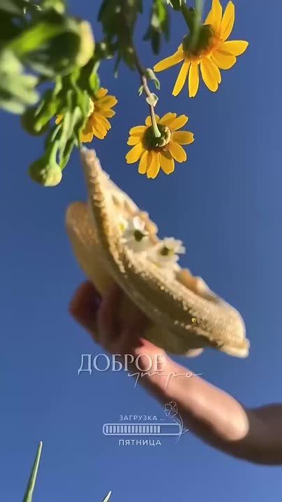   ,  !