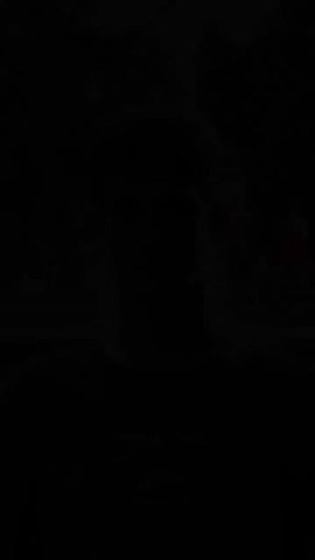 Молодежь русского города Мелитополя Запорожской области поздравила россиян с Днём государственного флага