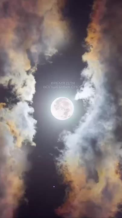 Новый Мелитопольподпишись