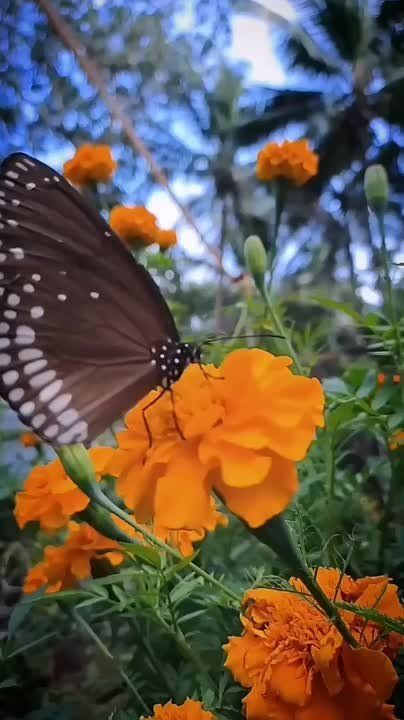Доброго утра , дорогие Мелитопольцы!