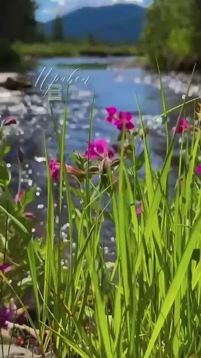 Доброго утра , дорогие Мелитопольцы!