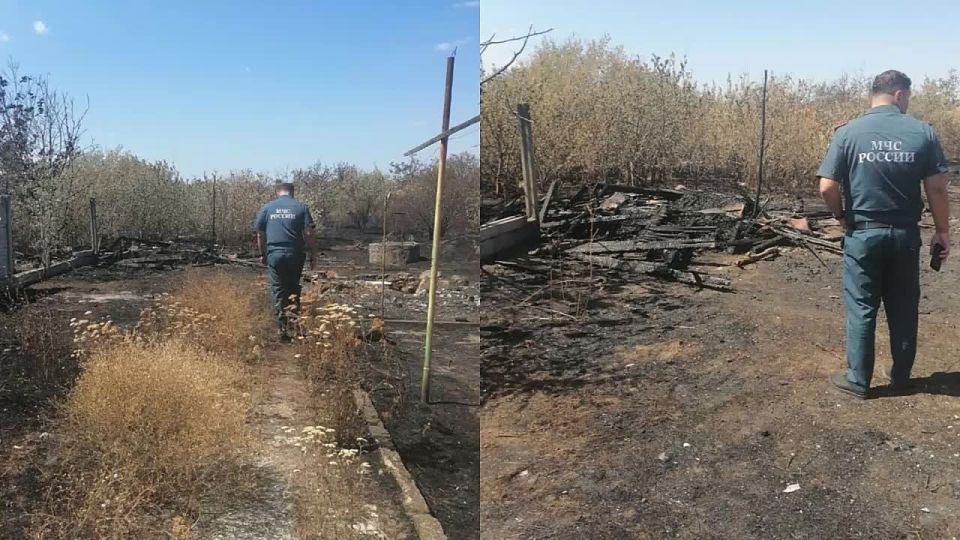 Новости РО ЛДПР Запорожской области за прошедшую неделю (18.08 - 24.08.2025г.)