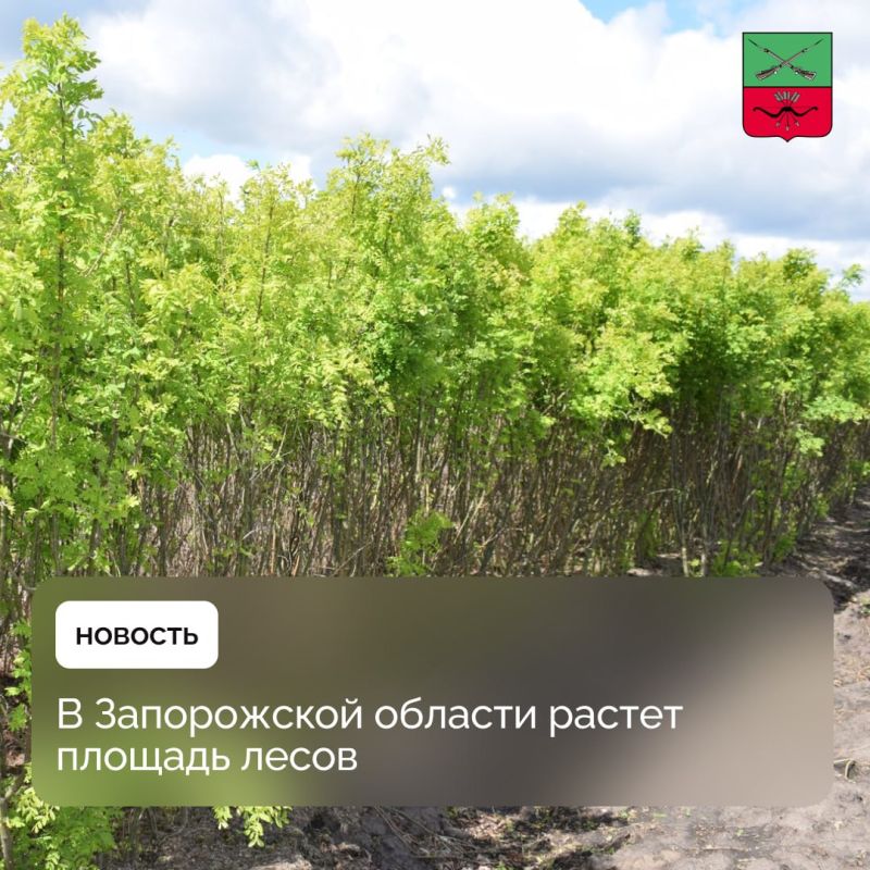 ����� 3 ���. ��������������� ����� ���������� � ����������� �������