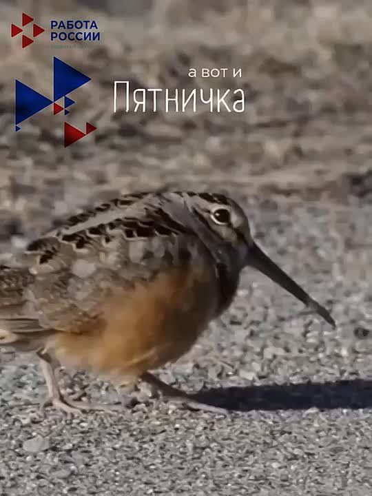 Пятница! Впереди долгожданные выходные!