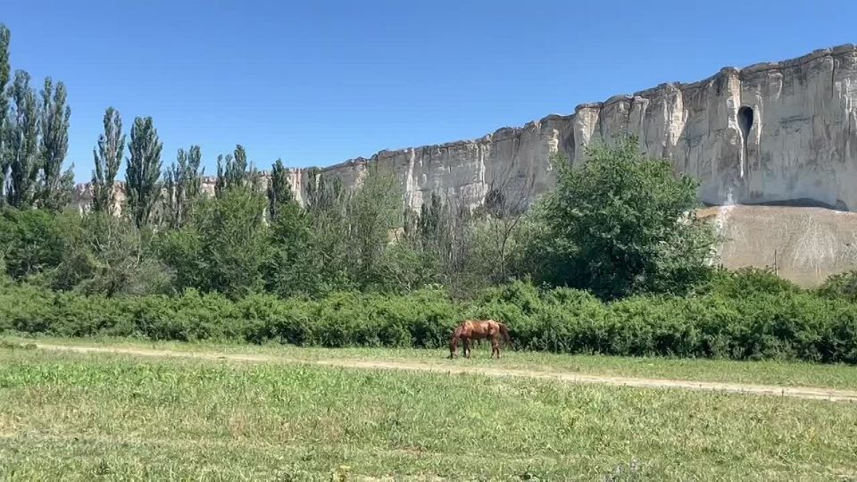 Доброе утро из Крыма!. Подписывайтесь на "Мелитопольский район"