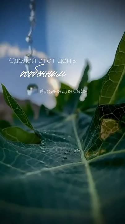 Доброго утра , дорогие Мелитопольцы!