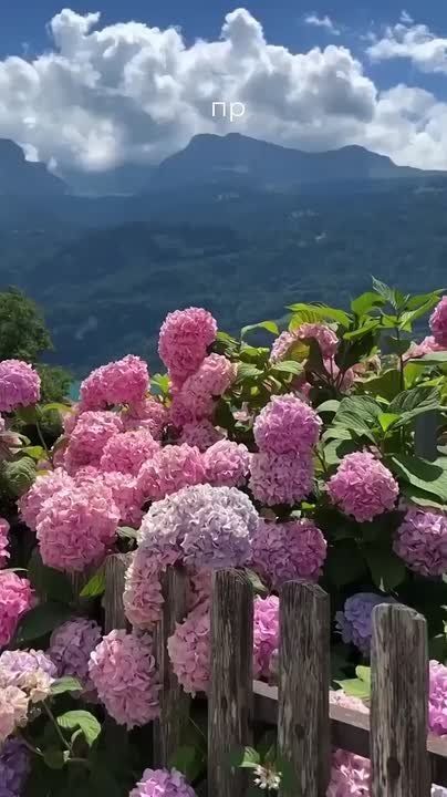 Доброго утра , дорогие Мелитопольцы!