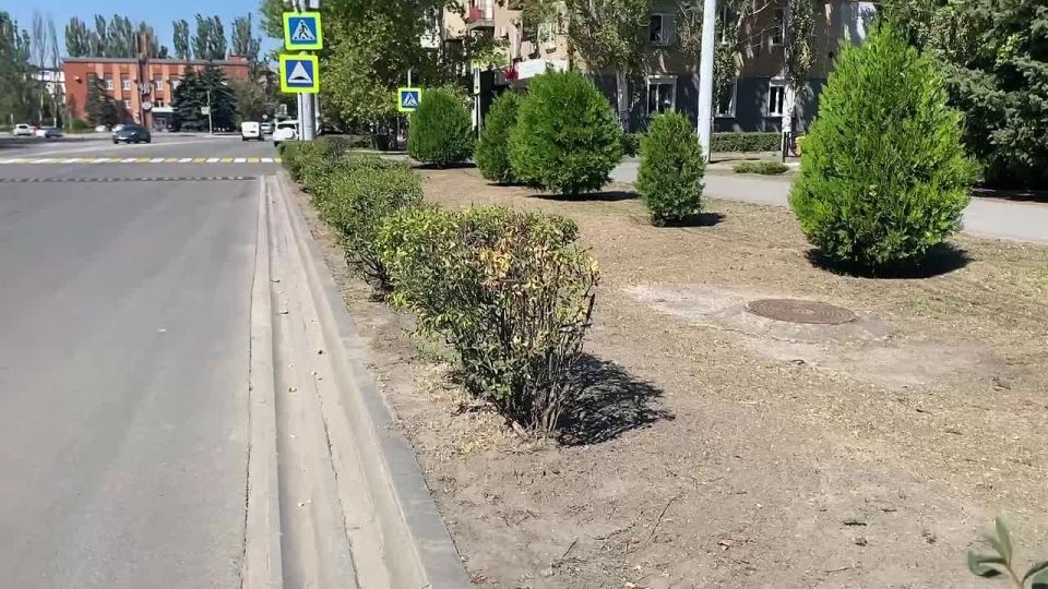        ,     15- 