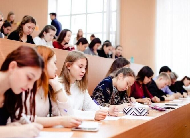 Студенты новых регионов получат гранты по 1 млн рублей на свои стартапы