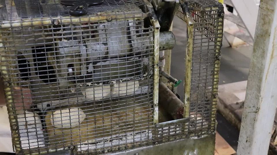 Мелитопольские студенты «Выпекали профессиональное будущее» на хлебокомбинате