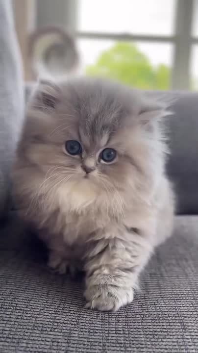 Доброго утра , дорогие Мелитопольцы!