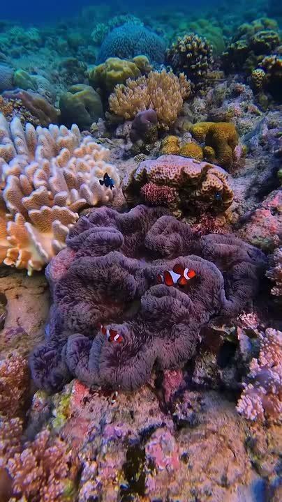 Доброго утра , дорогие Мелитопольцы!