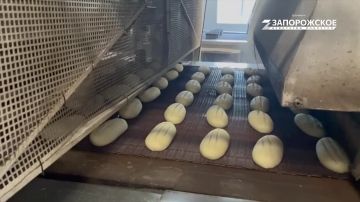 Практика вместо теории: Мелитопольский Хлебокомбинат открыл двери для будущих технологов