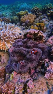 Доброго утра , дорогие Мелитопольцы!