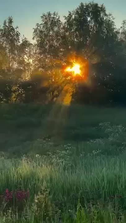  !    ,       ,     