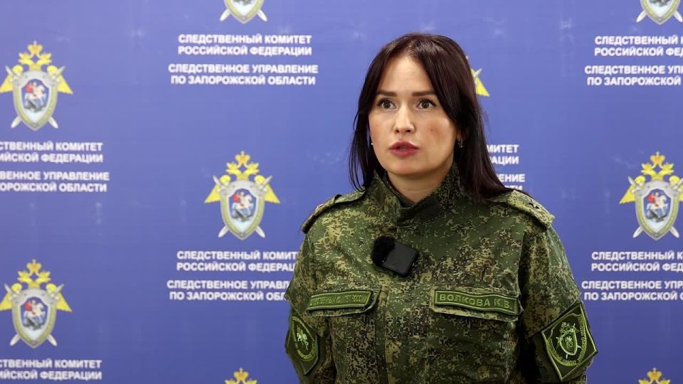 Виновного в смертельном ДТП в Мелитополе посадили за решётку