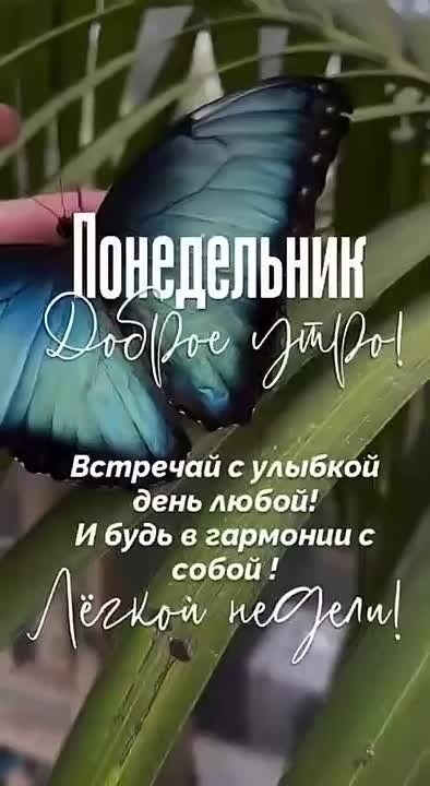    !