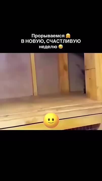 ,    !