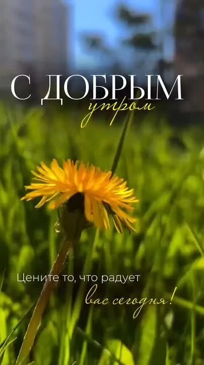 Доброе утро! Зарядись хорошим настроением — вторник уже в деле