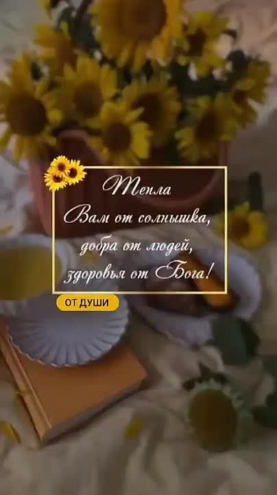  !    ,     