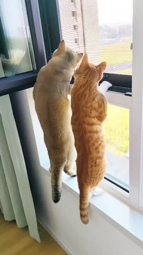     !            