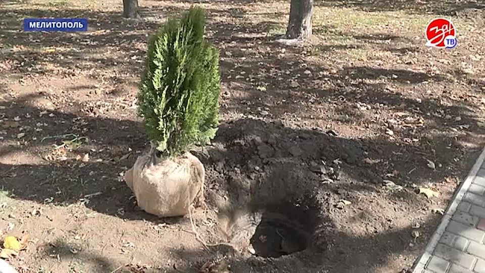 Специалисты коммунального предприятия «Благоустройство» проводят озеленение нового сквера в Мелитополе