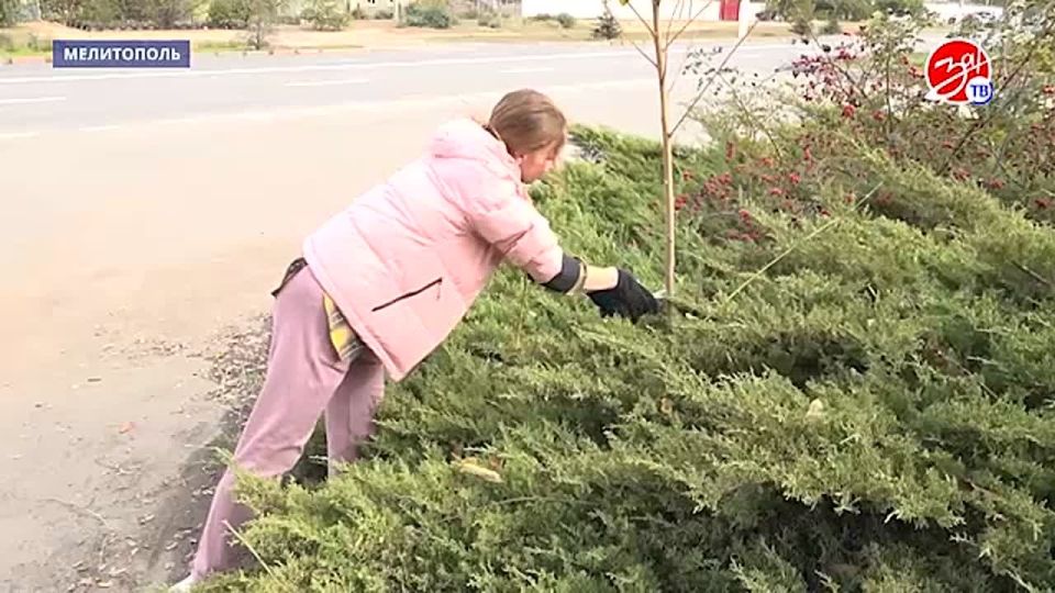 У памятника Воинам-автомобилистам в Мелитополе провели субботник