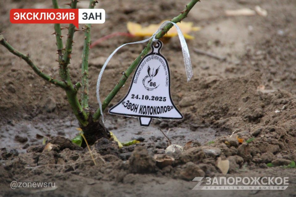 В Мелитополе прошла памятная акция к 40-летию катастрофы на ЧАЭС «Звон колоколов»