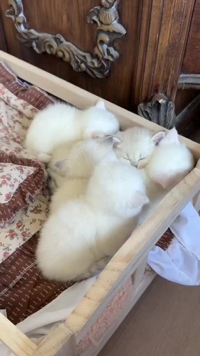 Доброе утро!!!. НОВЫЙ МЕЛИТОПОЛЬ
