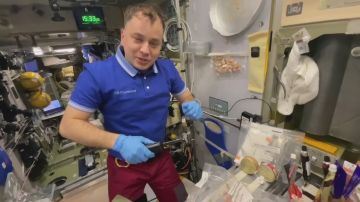 Уроженец Запорожской области, космонавт Алексей Зубрицкий и его коллега Олег Платонов приготовили на орбите салат оливье для американского астронавта Зины Кардман