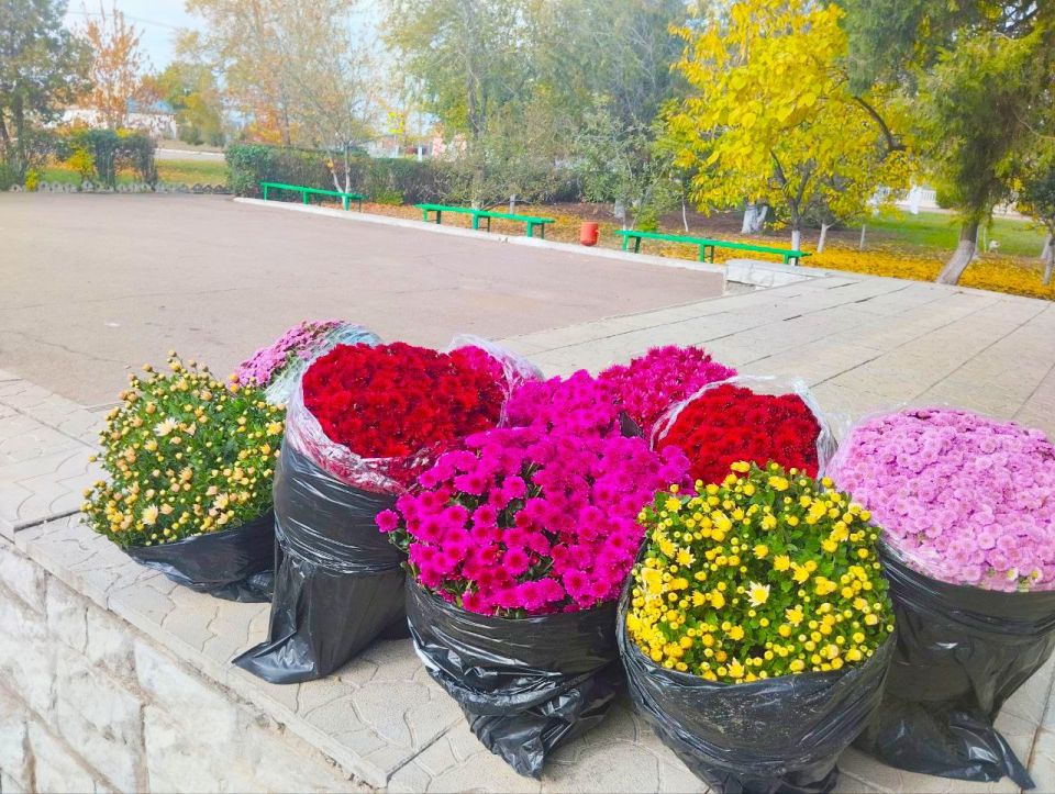 Благоустройство Памятника. В преддверии Дня освобождения села Спасского от немецко-фашистских захватчиков сотрудники клуба почтили память павших героев