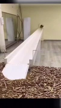 Врываемся в новую рабочую неделю с новыми силами!