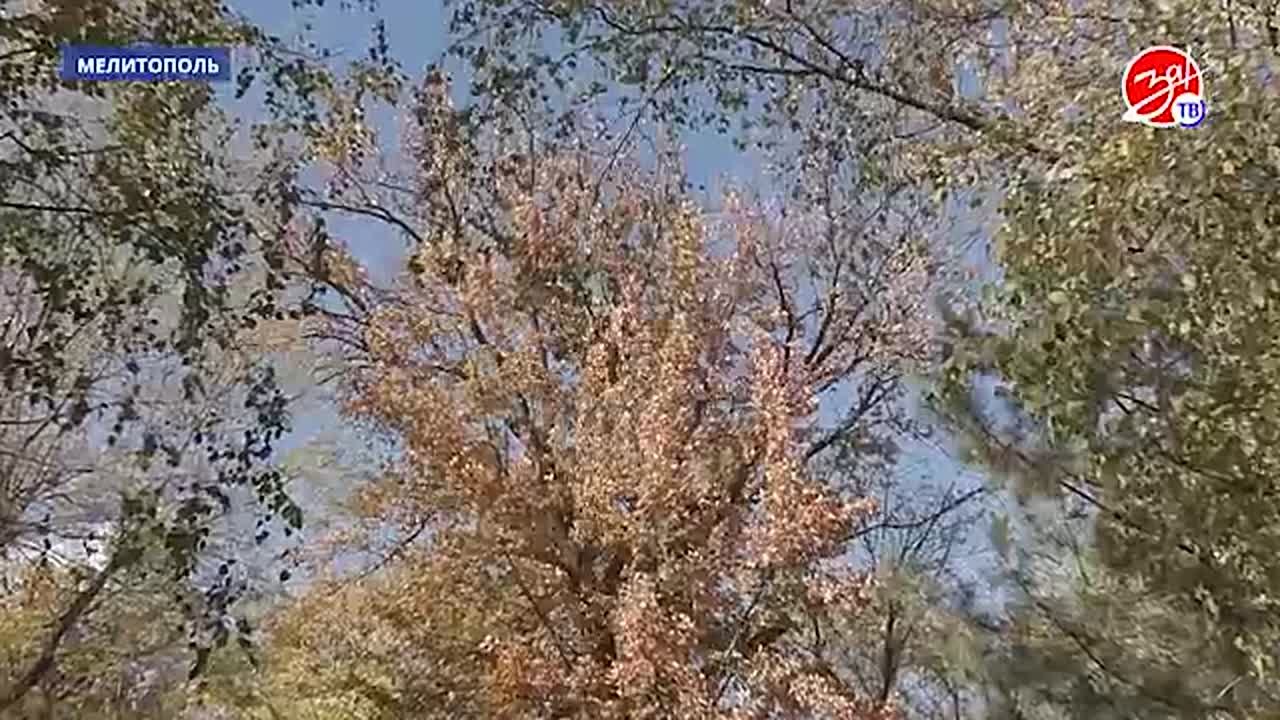 В Мелитопольском городском парке культуры и отдыха имени Горького стартовала подготовка к зиме