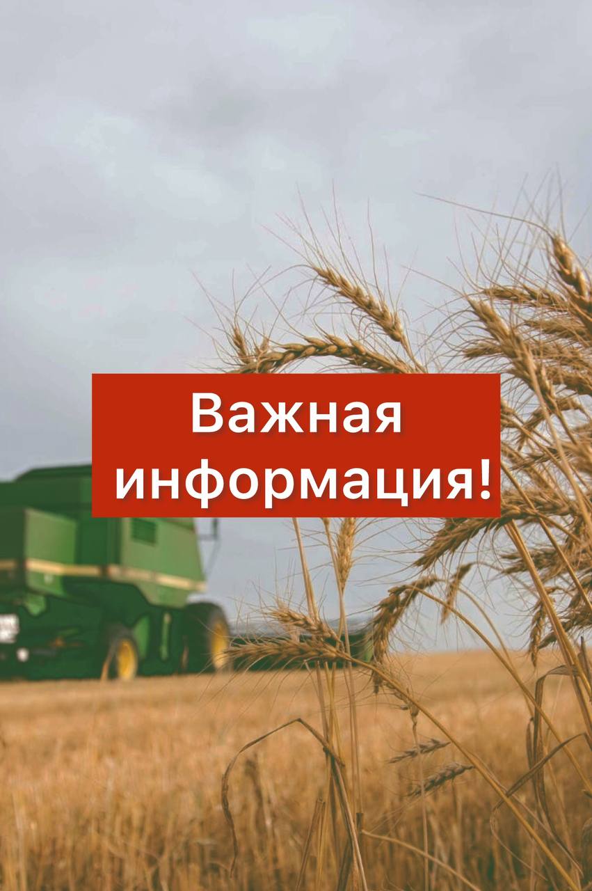 Андрей Сигута: Важно для предпринимателей: оформите использование недвижимости до 1 ноября!