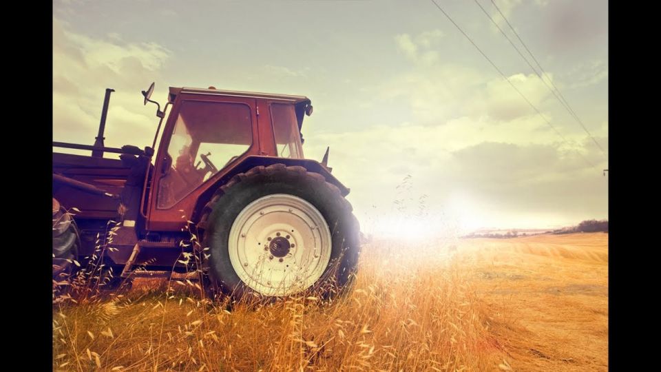 В Запорожской области продолжается прием заявок на субсидию АПК