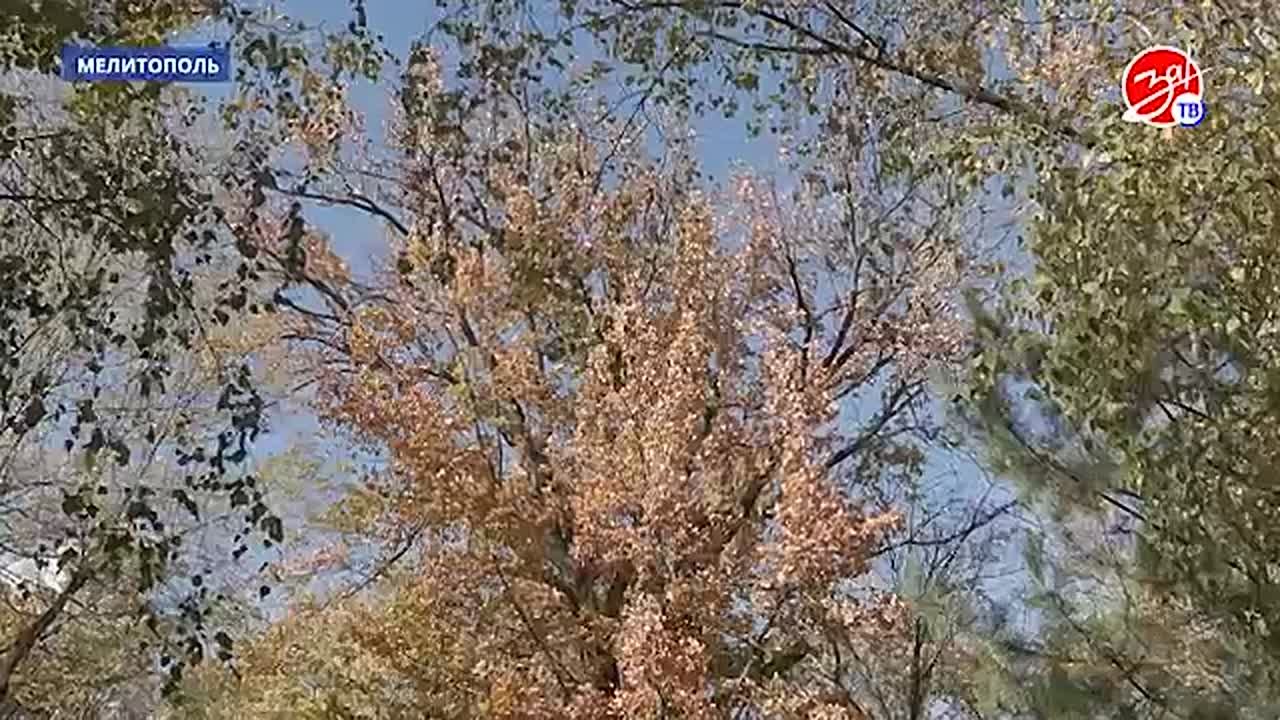 В мелитопольском городском парке культуры и отдыха имени Горького идёт активная подготовка к зиме