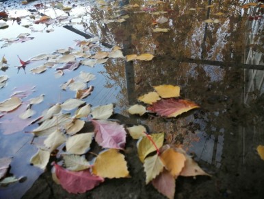 Доброе утро! Наслаждаемся прекрасными кадрами, которые передают особенную атмосферу от Аллы из с. Долинское!