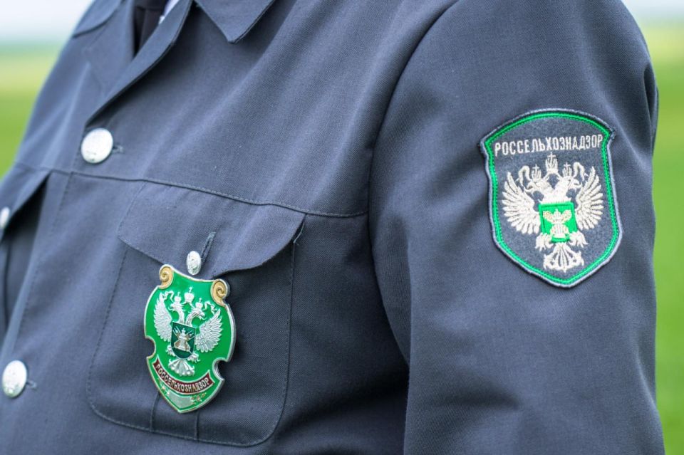 В Запорожской области Россельхознадзором выявлена перевозка 38 тонн пшеницы без карантинного сертификата