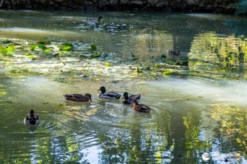 Погода на новых территориях России