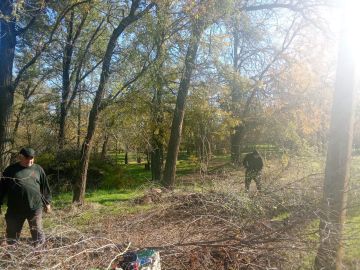 В лесопарке посёлка Трудовое продолжаются работы по наведению порядка, которые выполняют сотрудники МБУ «Жилсервис»