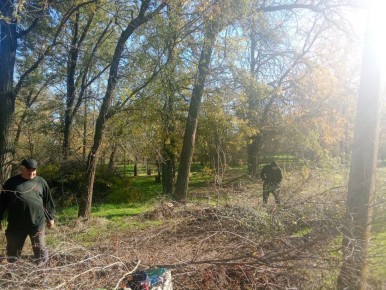 В лесопарке посёлка Трудовое продолжаются работы по наведению порядка, которые выполняют сотрудники МБУ «Жилсервис»