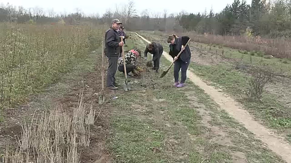 В Запорожской области идёт подготовка к осенней посадке растений